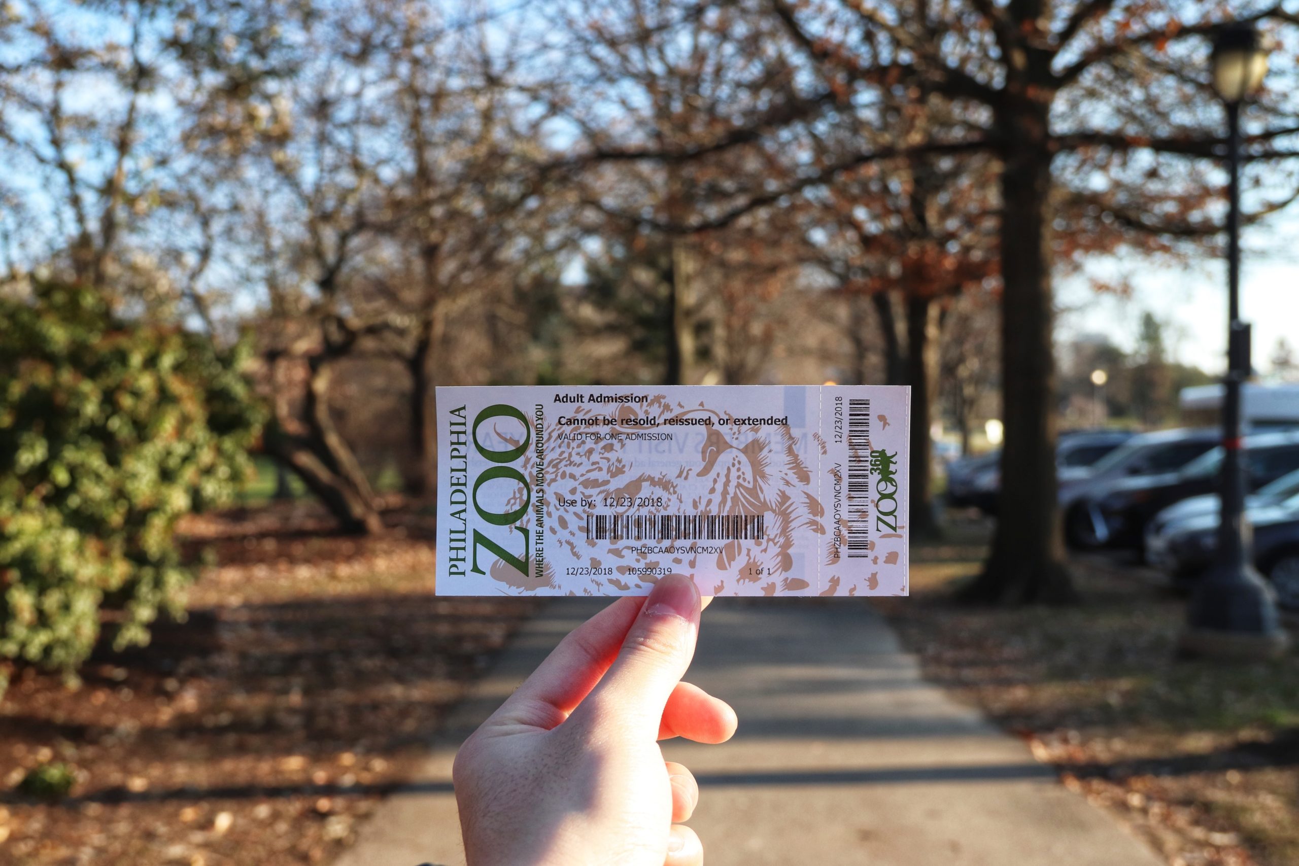 Exemple de ticket billet pour billetterie accès zoo avec talon détachable avec flash code ou code barre. Coupon déchirable pour sécurité.