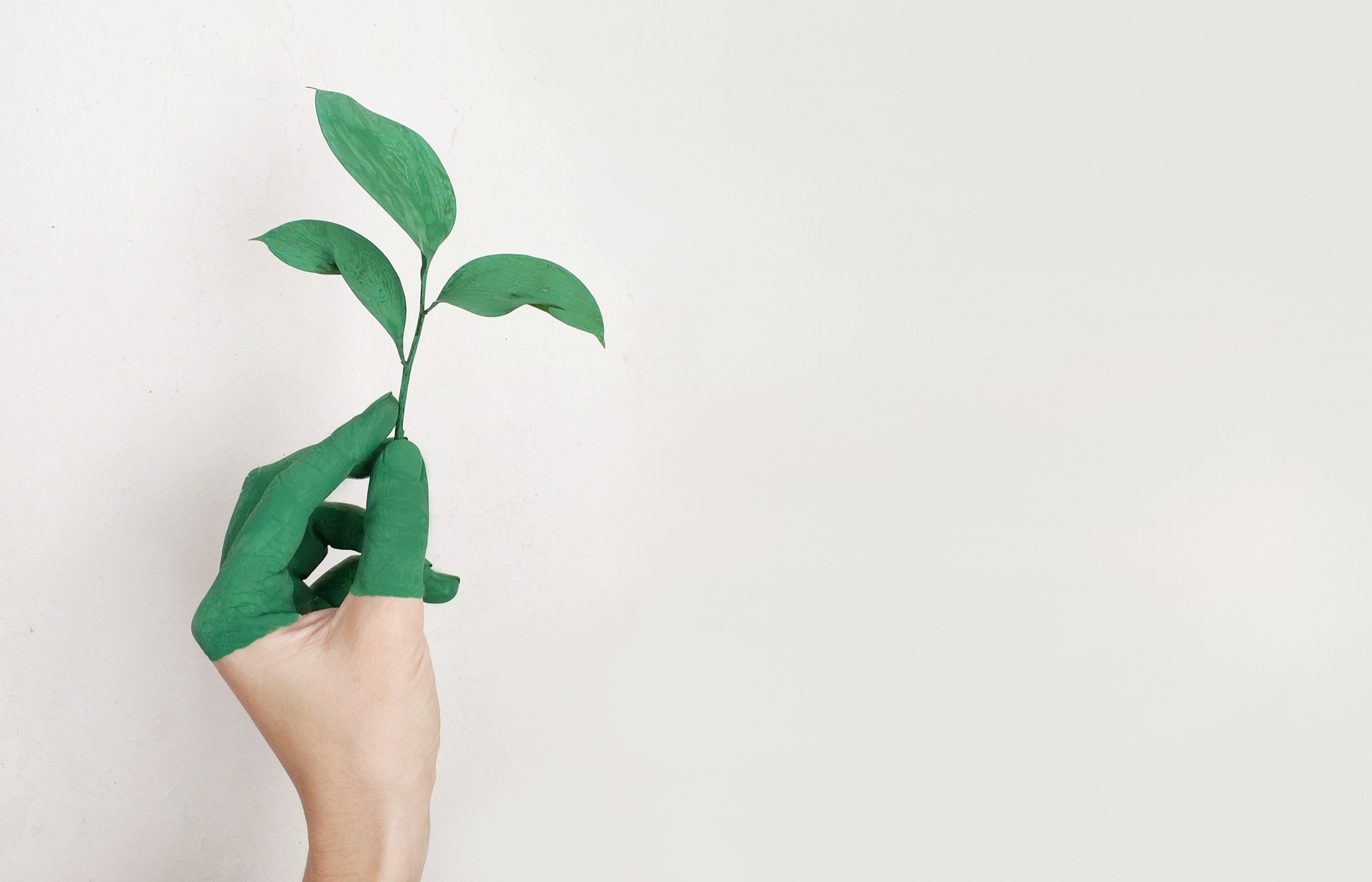 impression propre responsable ecologie environement écologique